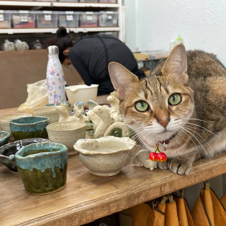 1268ce00 a784 46e5 b0af ff9fa30869e7 1733896904795