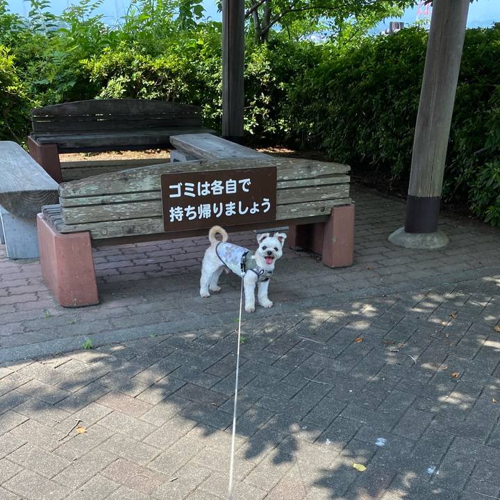 1268e044 3fce 4f5a 875d 088884775e94 1690546342235