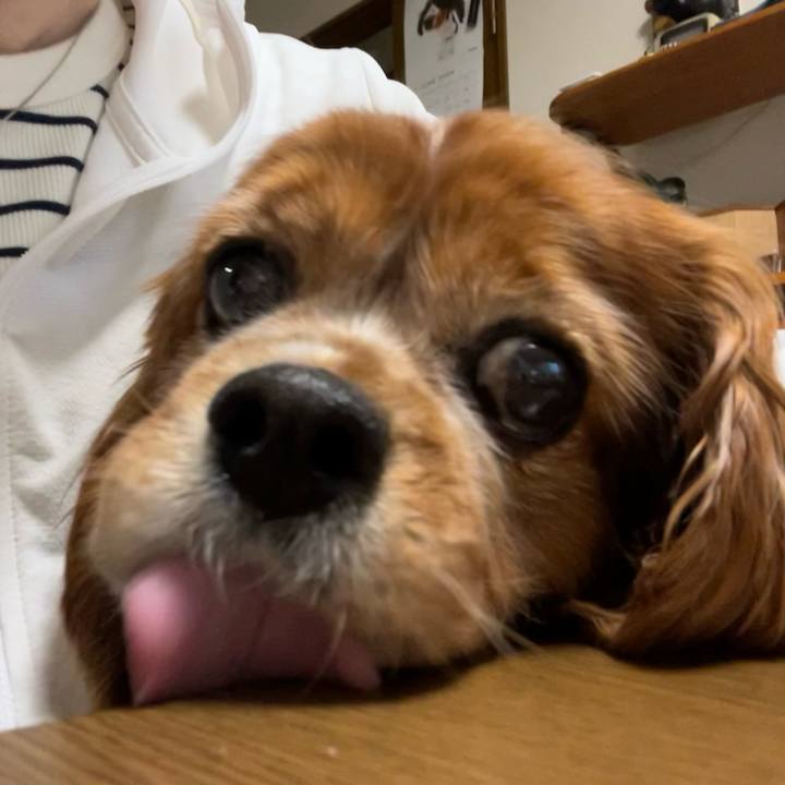 126914fb 9a6b 45f2 816a 00b0367bf4d1 1718836223578