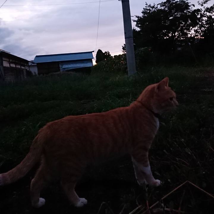 126924ac 9371 4de6 ad14 856363264f5f 1567157555430