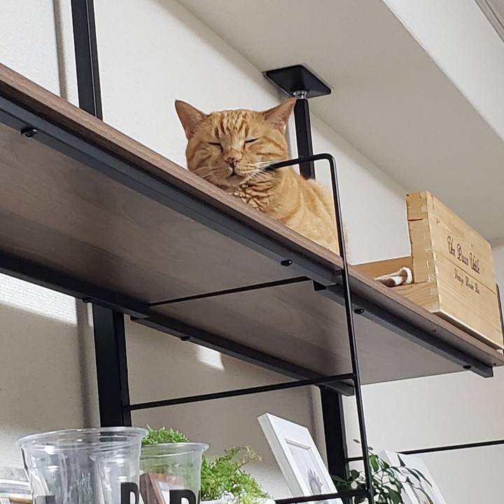 12694ee8 ad4c 4bc2 9a69 fb1683747907 1716436104897