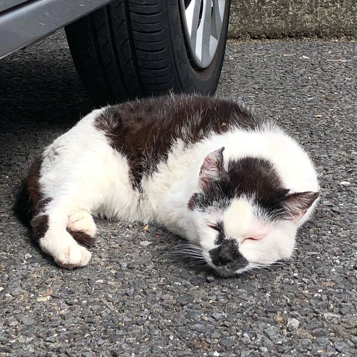 126953fc aee0 46ac aff8 72b11ca13fb4 1559128678024