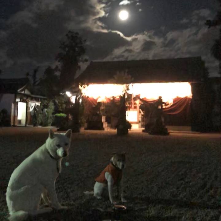 126957d2 6972 4145 b374 0c6733ebadfd 1514805463012