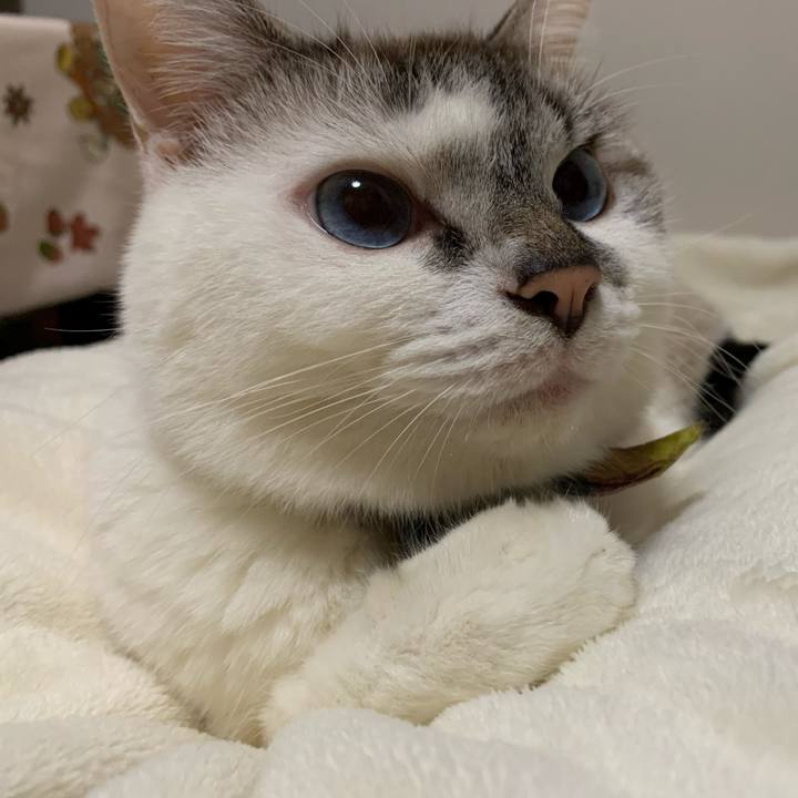 126962eb d702 40d2 a9d1 c47149ee9b61 1572137286805