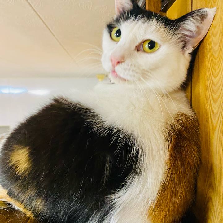 126970f5 4a71 493f 87a0 0c5399057530 1656074910157