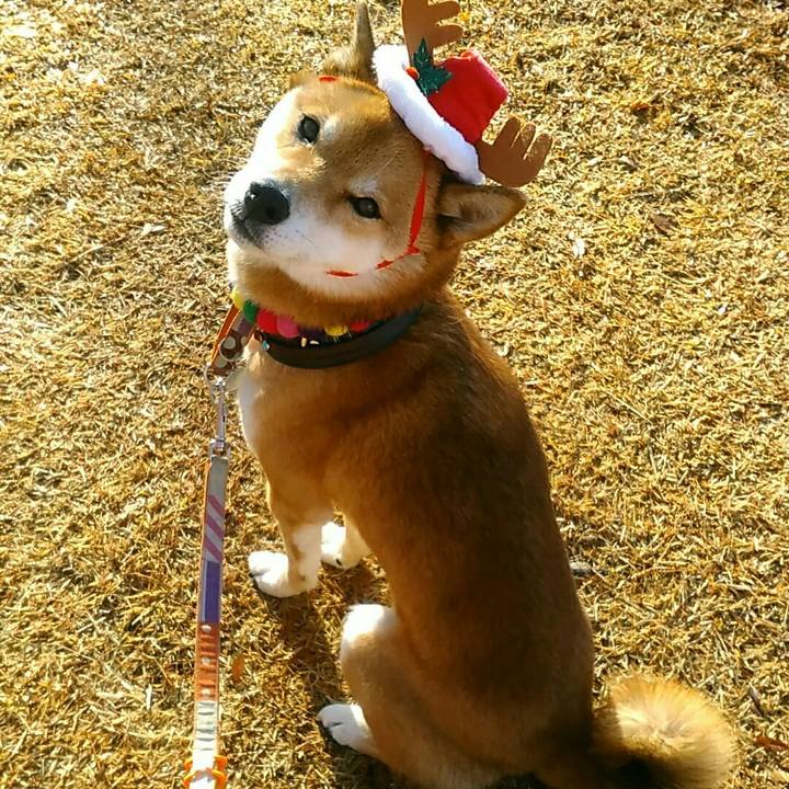 1269b46a f2d2 4d59 9dff 1bc08eaa0955 1577146888752