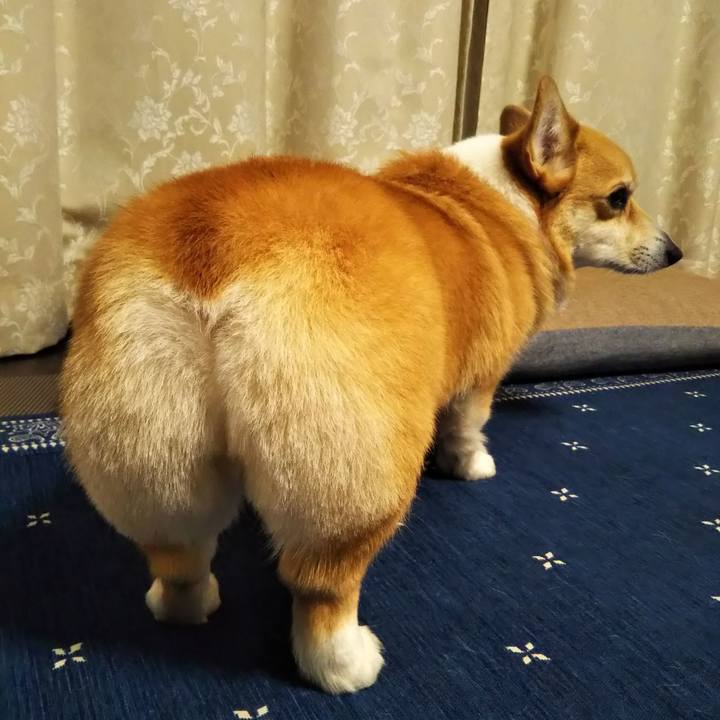 1269d571 b2fd 4233 b1b8 36441480ef47 1577542403955