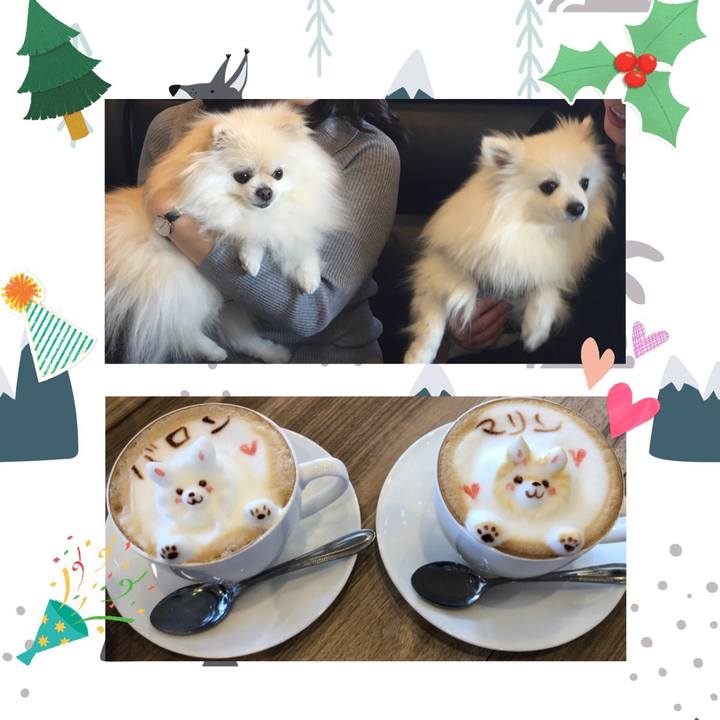 126a0b98 8e32 4a8b a7ca a890753e3bc3 1576400287475