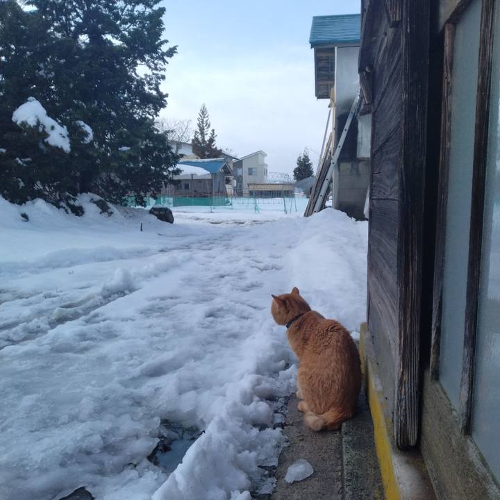 126a3721 6a51 46d9 8b0d 4f14ff1e66bb 1767072209378