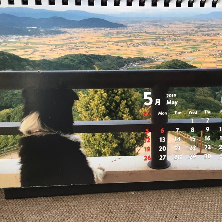 126a5647 3629 4f4a ab6b a9f1b8979592 1556668939256