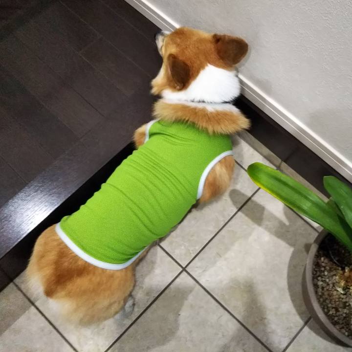 126a6a75 d393 4790 8952 5363ef066082 1533376693458