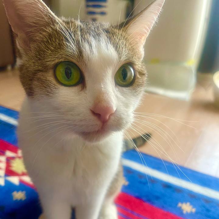 126ab342 722a 4cd8 96d6 213152b2b102 1632355345827