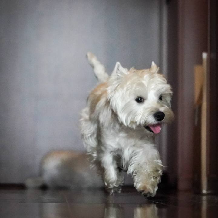 126aed3f fa50 49b5 9ac5 00189c547186 1520318709012