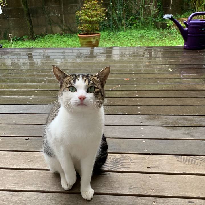 126b72b7 efc4 4747 bf92 9b0d66aa02e1 1571371302098