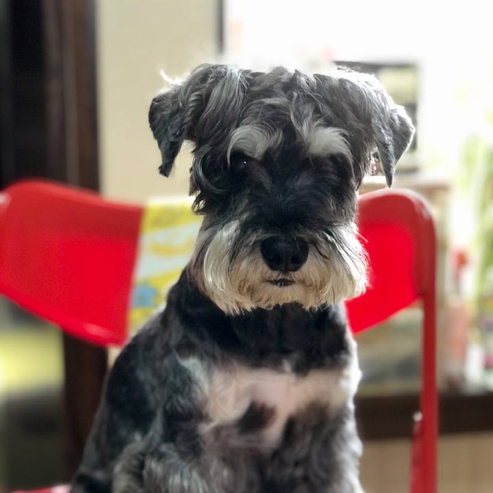 126b891a c82d 4b39 8097 2c10e4b5441c 1688863704890