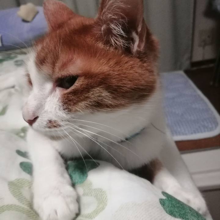 126b9cbb 961e 4905 a0e0 72b79819f6d0 1628084378205