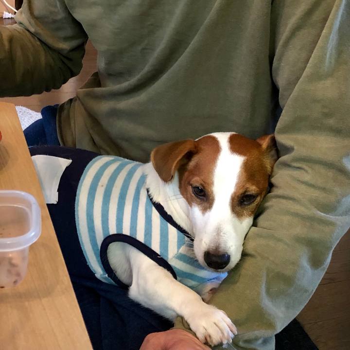 126ba6eb f32e 45e8 85d4 a976d0e29b23 1636367698945