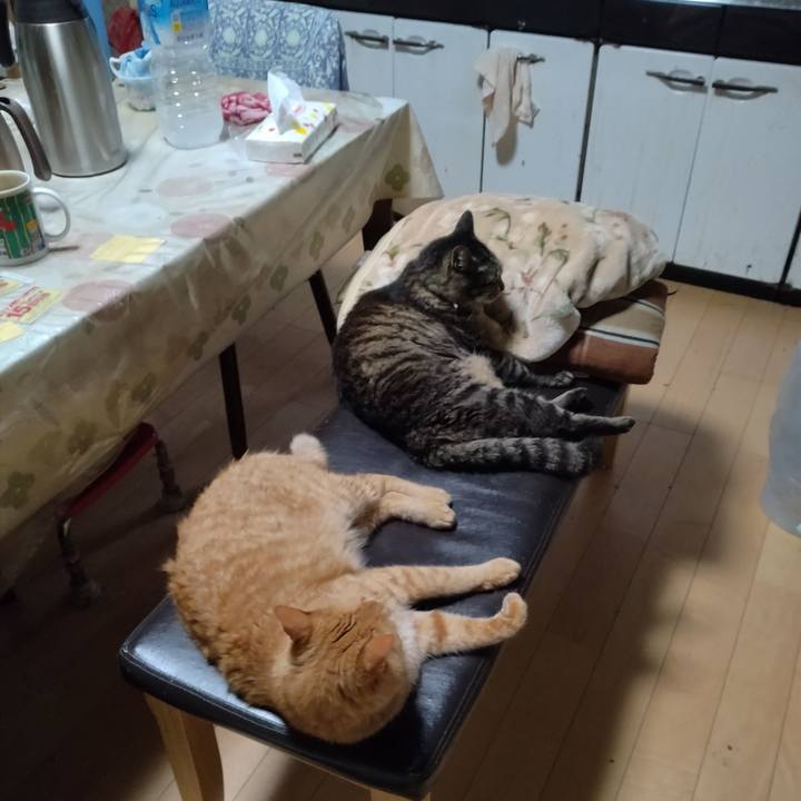 126be177 5c8e 40f4 aa66 a5bb7a2c75ca 1721427057763