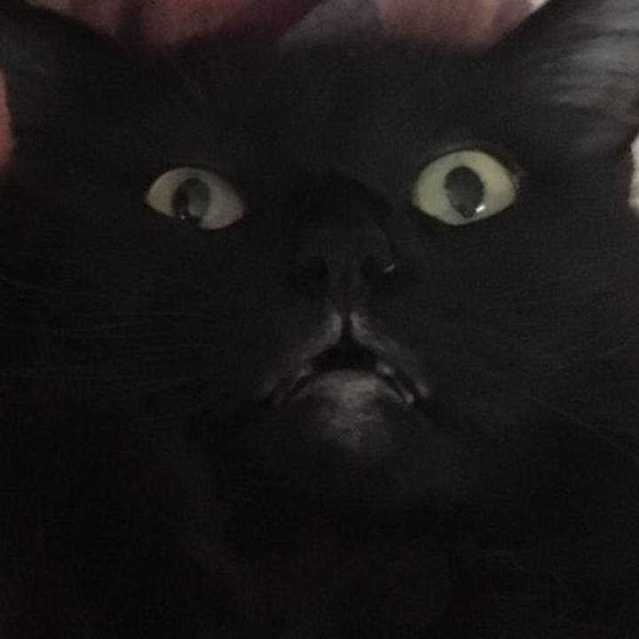 126be79b d26e 4c68 82c4 815f74cc9d69 1510207558426