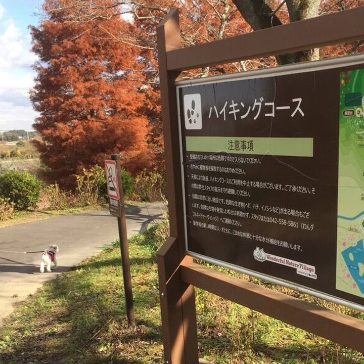 126c4174 92bc 4e6b b324 f22da2878415 1511263766172