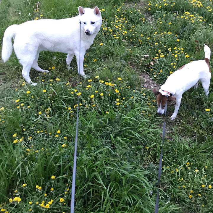 126c6aa3 025d 495b a205 9b687ccd1646 1522928850221