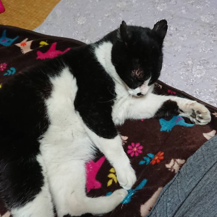 126c73b0 2701 4e70 915e f289385c2d4f 1555774537214