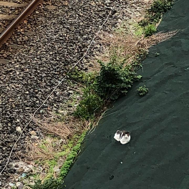 126caaf6 d86f 4633 8109 5fb631d0e0c7 1603576874095