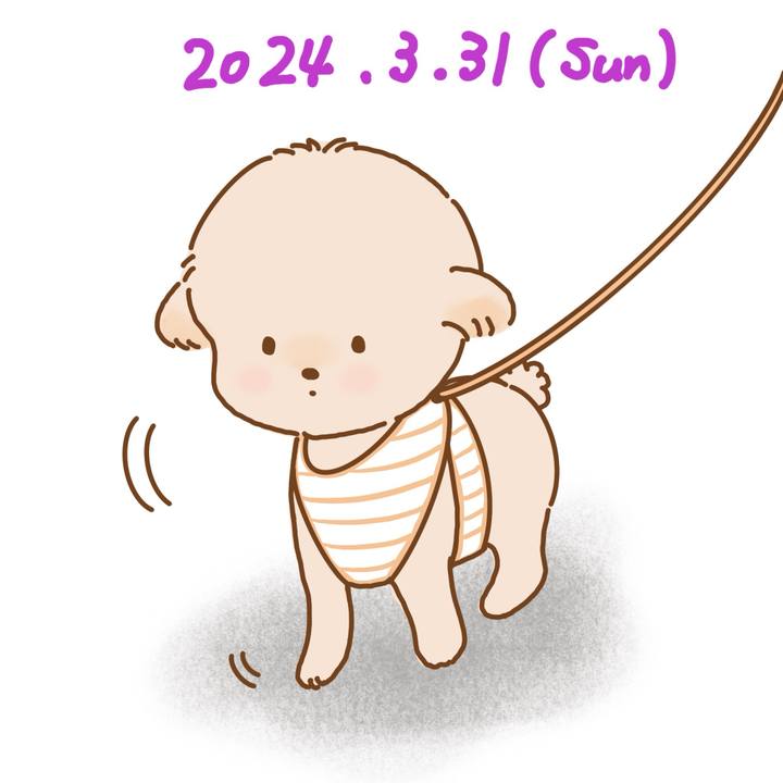 126cb09e 4290 4a37 8852 c465c046dcf1 1711889382680