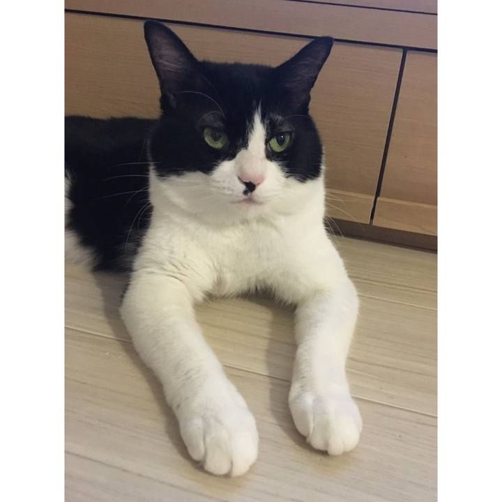 126cb13b 24d4 4631 88be ce9fc645342e 1587387149797