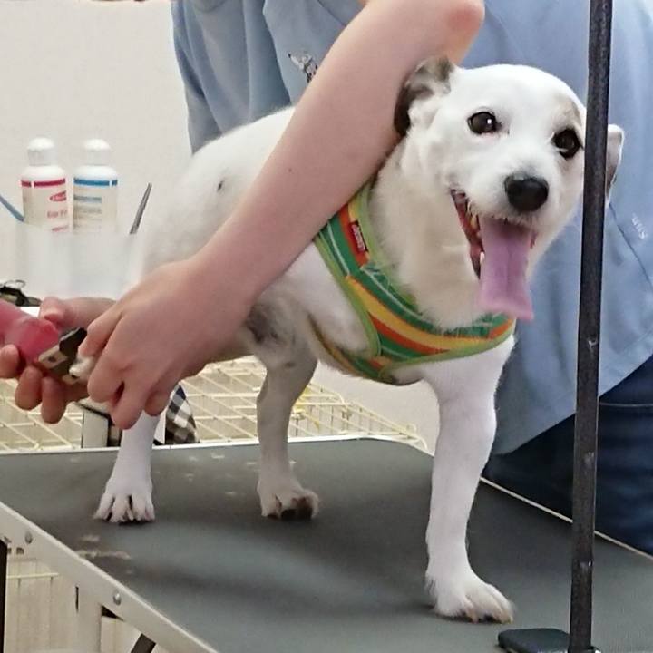 126ccffa 14d0 48e1 9f60 75039dd20fcd 1531351526836