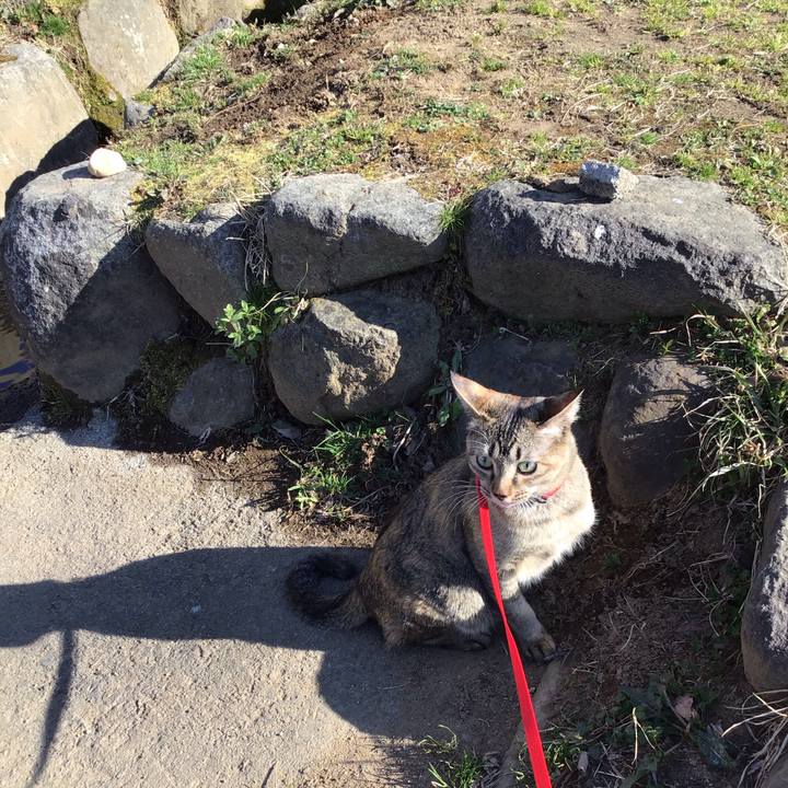 126cd74a 4d27 413e 8da7 3826c3fe8055 1583478744389