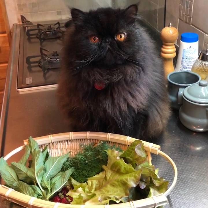 126ce651 ce39 4fb7 896c 32a7d971b68e 1556777942508