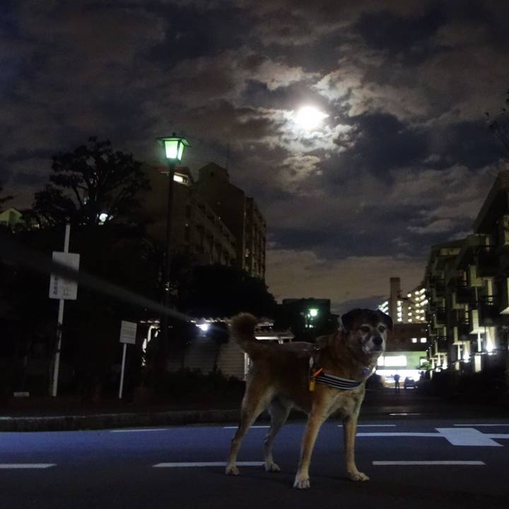 126d01f9 8d05 4c5f ac4e c0ea203dbb29 1652489656203