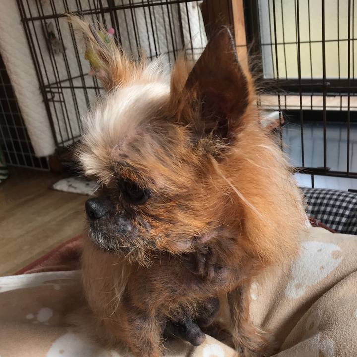 126d503c 9162 4ecf b424 6a05ace20aa9 1549598792253