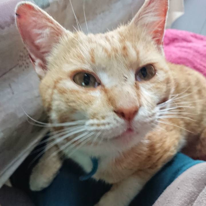 126d8685 4904 4f51 b90b be4a6648fcc7 1555819938971