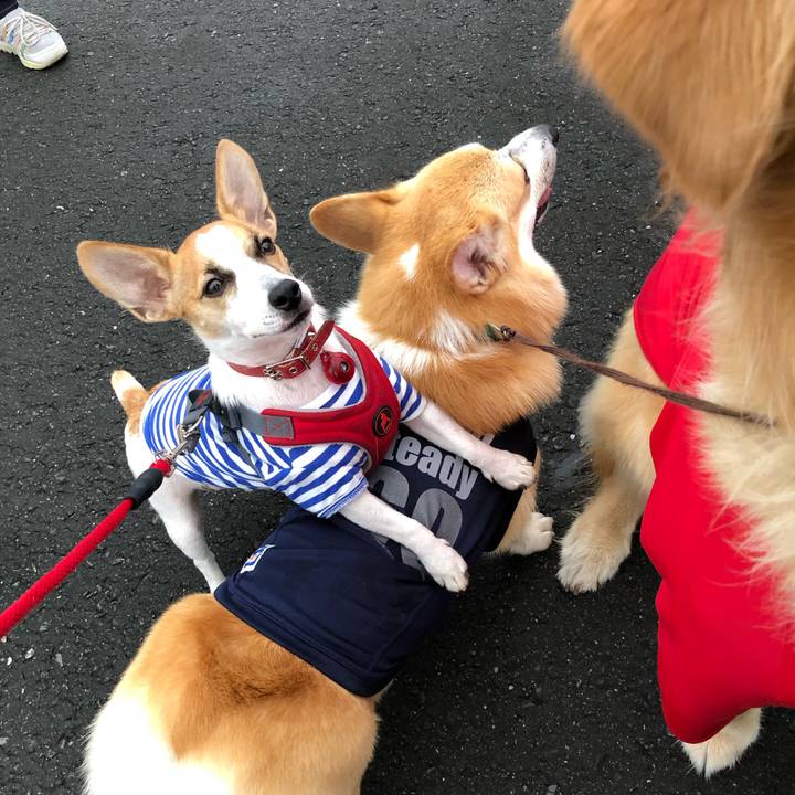 126d9400 b49f 47ad aed9 37e94619bda3 1566834050309