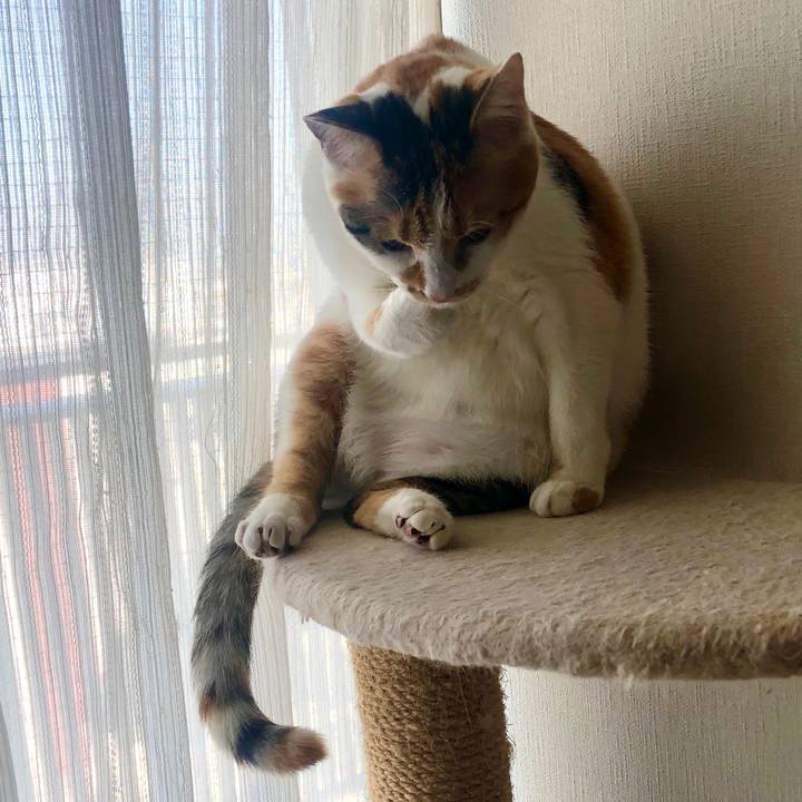 126dbb88 9818 487c 984d 92a9c3faa1d4 1584579020413