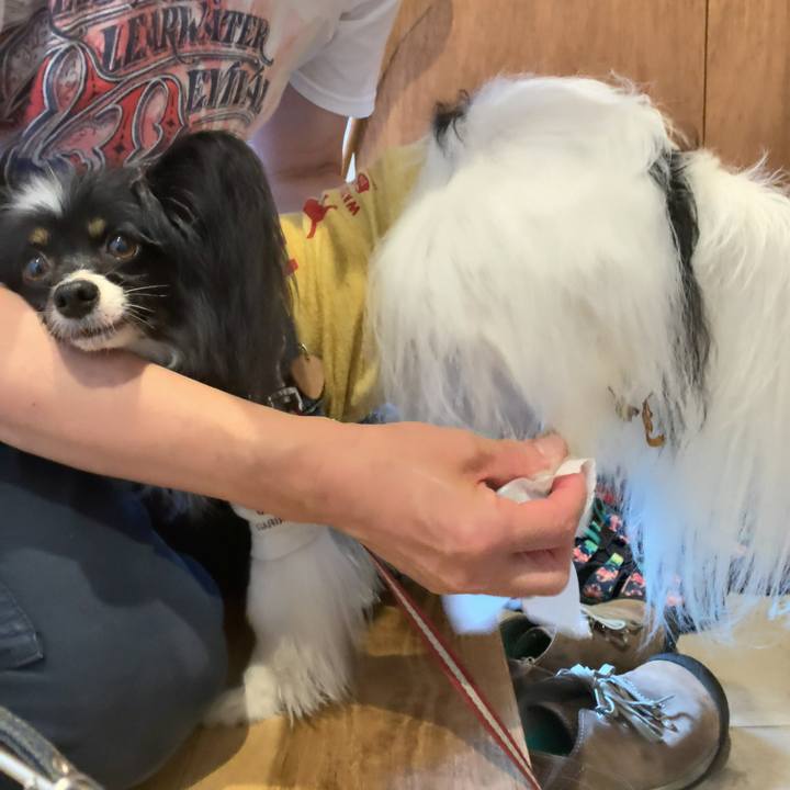 126dcc7e 43c9 452f b831 3ad94915253c 1598221120944