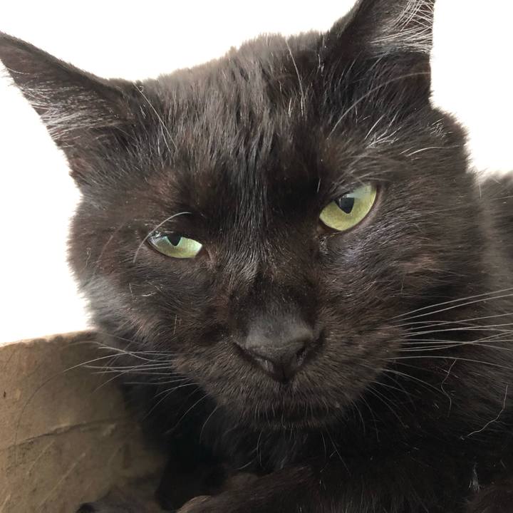 126df04c 6fce 4cfd ab08 67d75fc9623f 1565767548141