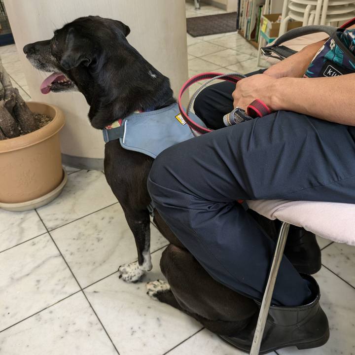 126df73f 2272 4ad0 9729 68ba0b4b9bdf 1724844743488