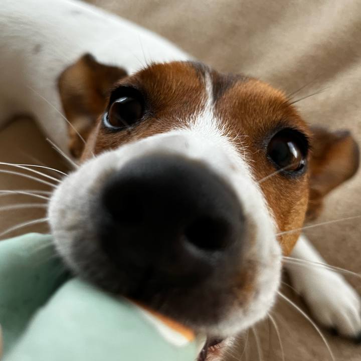 126e0624 d8fc 4323 ba7d ec22ec3b085f 1747744206795