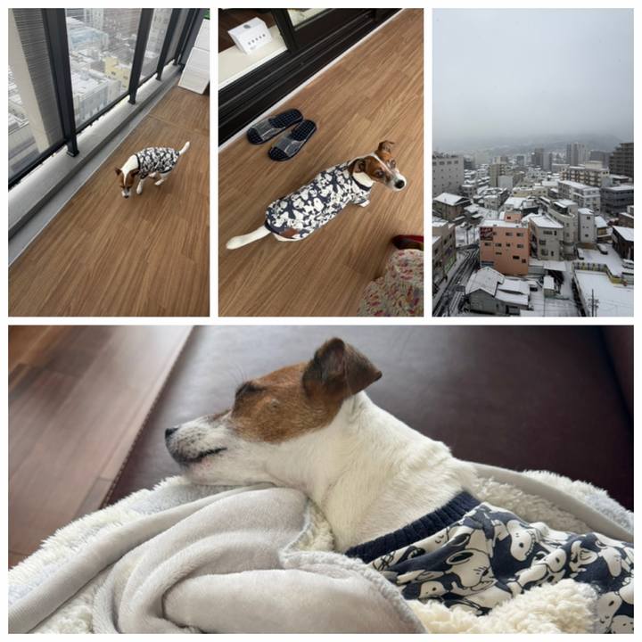 126e1633 8aa8 4569 b21e b6611840e0a6 1767841012513