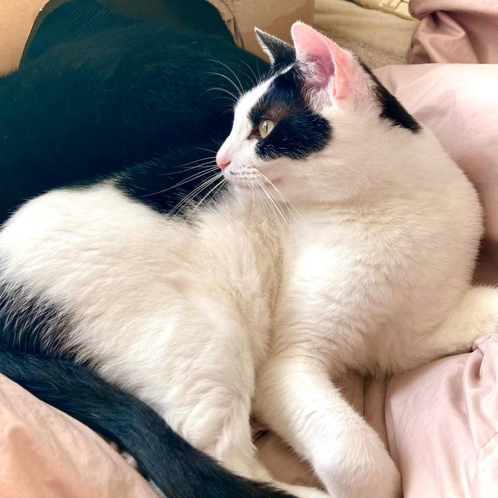 126e29fe a55f 4849 8ff4 faeb66144adc 1670473911420