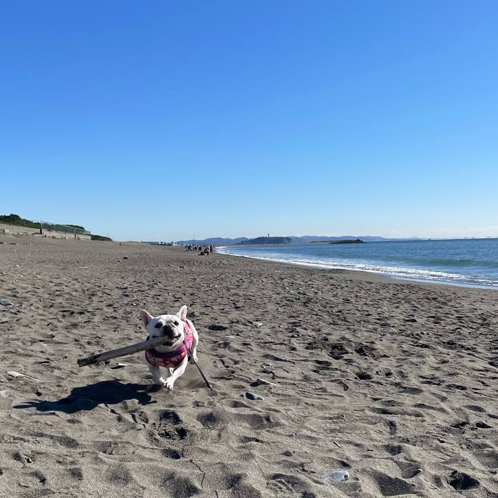 126e6c23 b42d 4e5c 89ad ad09697e4a71 1732528213354