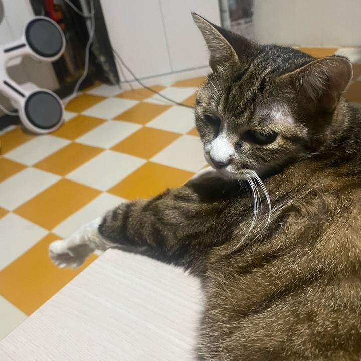 126ec29e 09ac 4bbe 9d5c a28b04d2d1a5 1723301310324