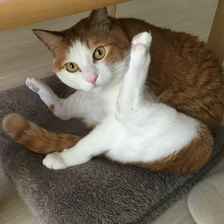 126ecd76 d4d8 4772 a585 f4dec22d2e0f 1555203646936