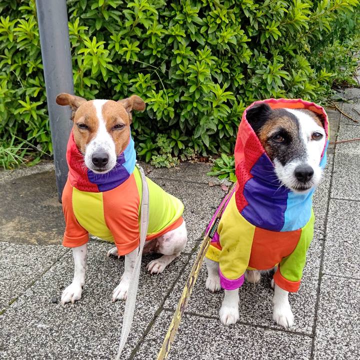 126ee044 0ab4 4357 89c1 9a3cd78b60e5 1627340146884