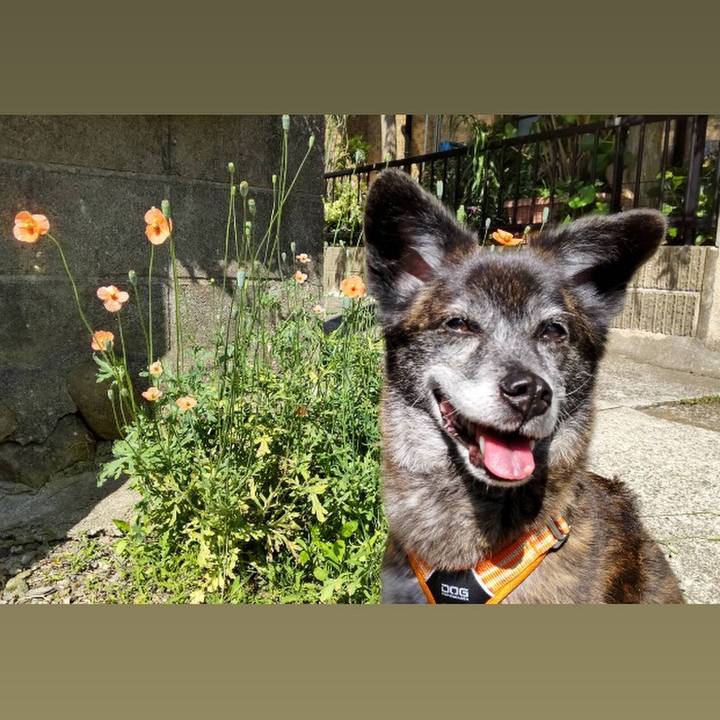 126eec86 1370 4445 b82f 30d3970d50c5 1684893082984