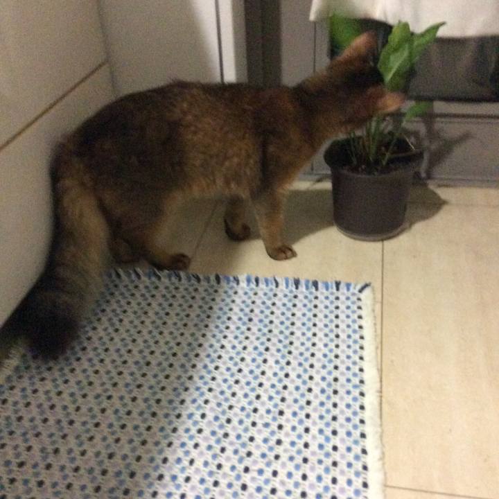 126eff4f d7a7 48b4 9d0f 47e4f6fd377f 1566851321870