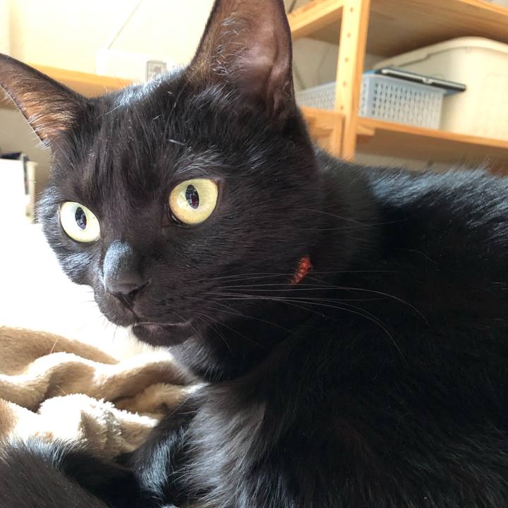 126f0340 43c9 4174 bb04 ca0d3375f075 1556585349414